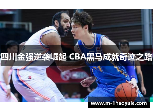 四川金强逆袭崛起 CBA黑马成就奇迹之路